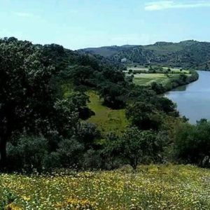 Upto 50 Hectares Development Opportunity Eastern Algarve, Portugal For Eco Hotel Resort